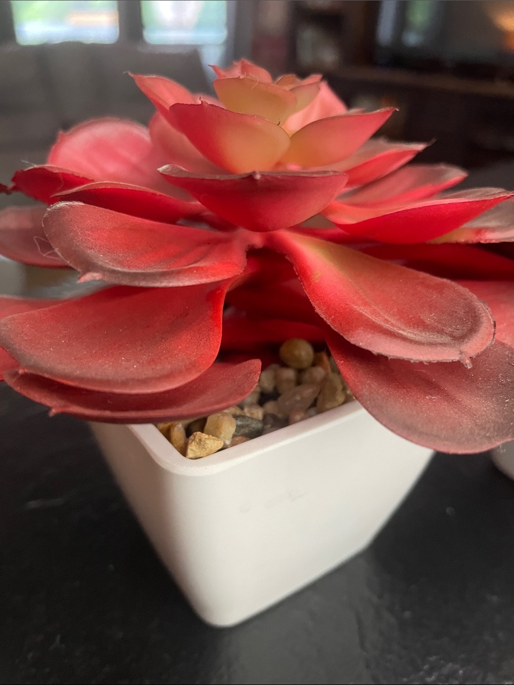 Red Faux Succulent Pair in White Ceramic Pots - Home Accents - Picture 4 of 6